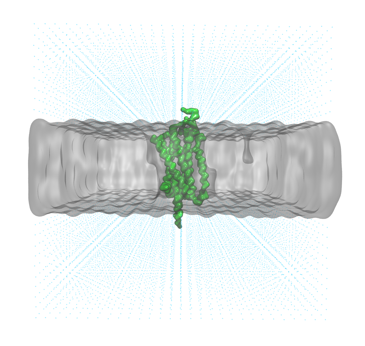  Coarse-grained representation of a GPCR embedded in a membrane shown in VMD