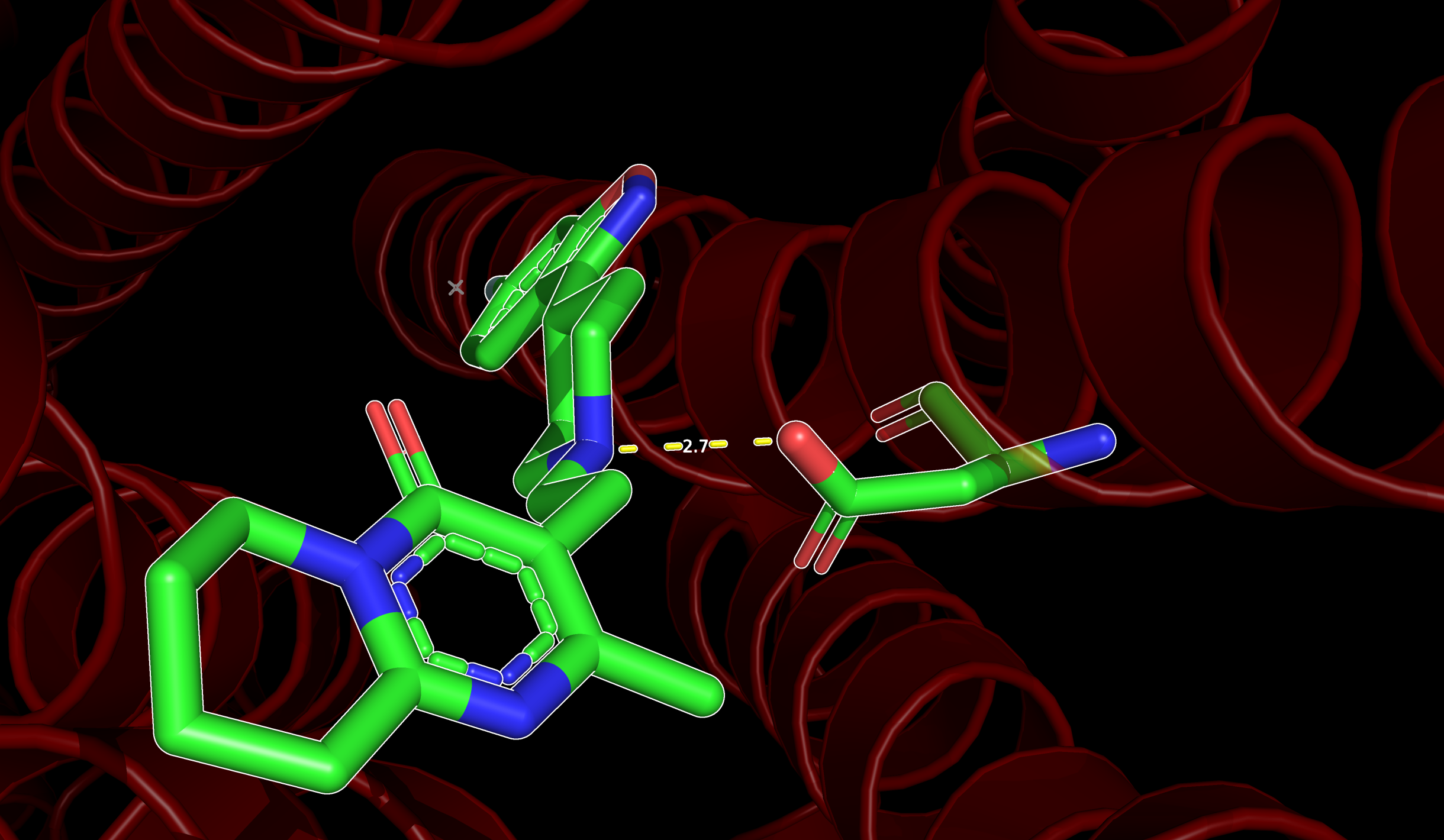 Hydrogen bonds and polar interactions displayed in PyMOL.